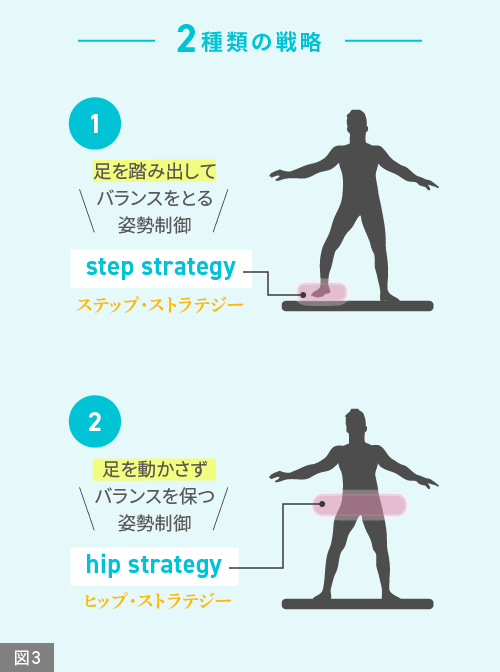 【図3】2種類の戦略。①ステップストラテジー：足を踏み出してバランスをとる姿勢制御②ヒップストラテジー：足を動かさずバランスを保つ姿勢制御